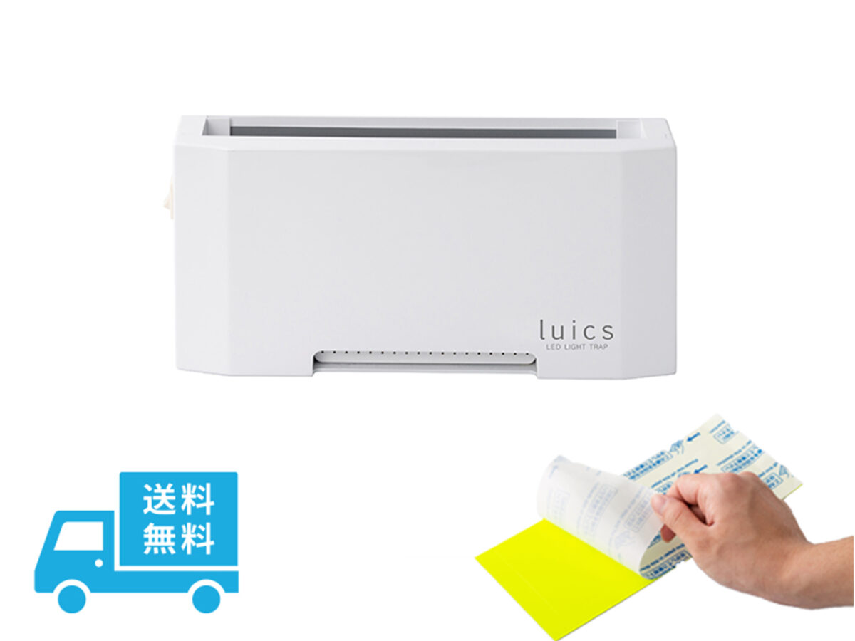 luics C LED・LC-C-YLW12セット販売